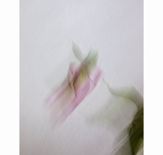 RELEASE | Limited Edition (of 25)