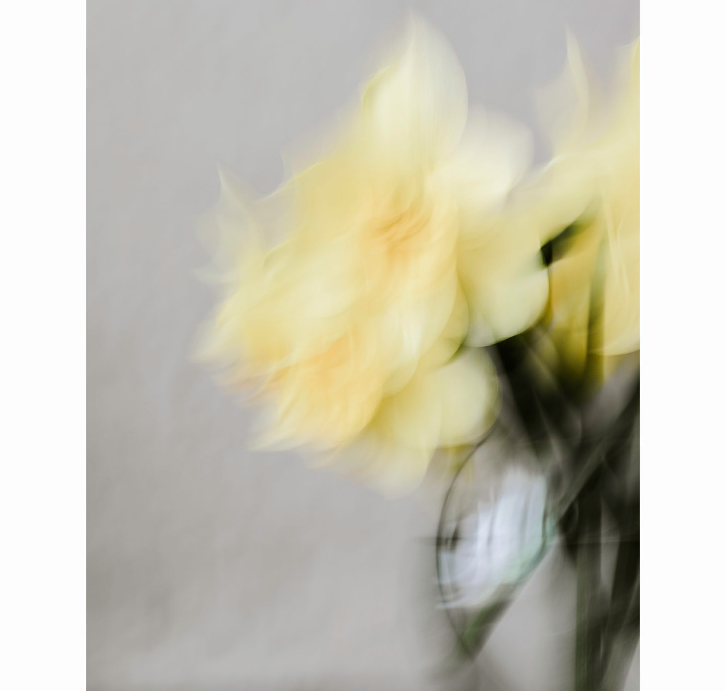 RETURNING | Limited Edition (of 25)