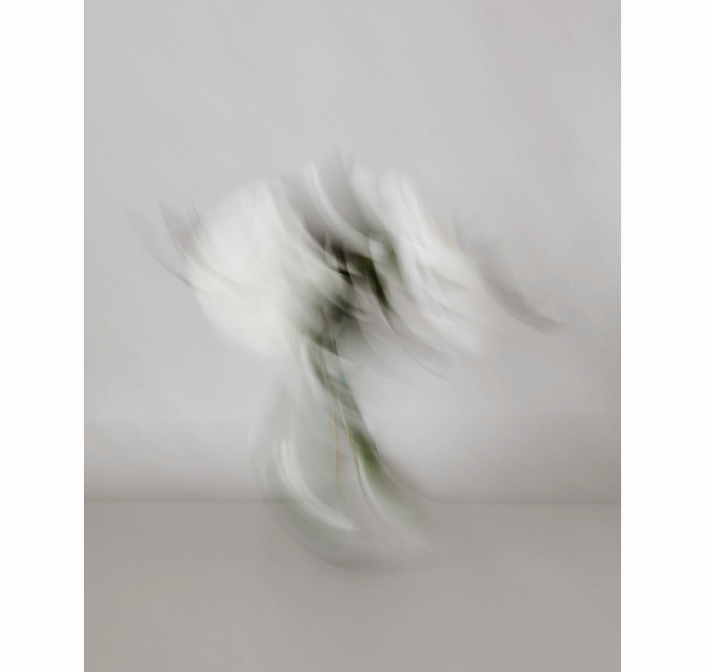 SOFTLY SEEN | Limited Edition (of 25)