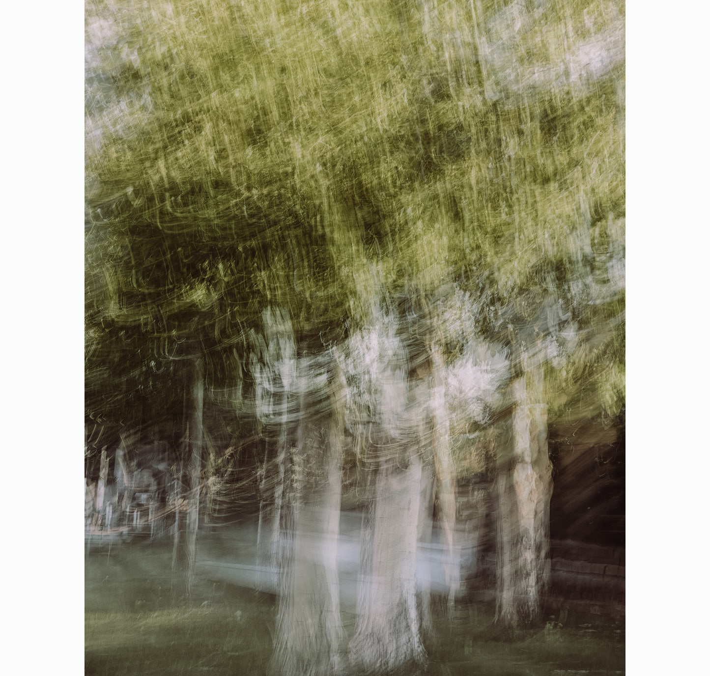 SUMMER DRIFT I | Limited Edition (of 25)