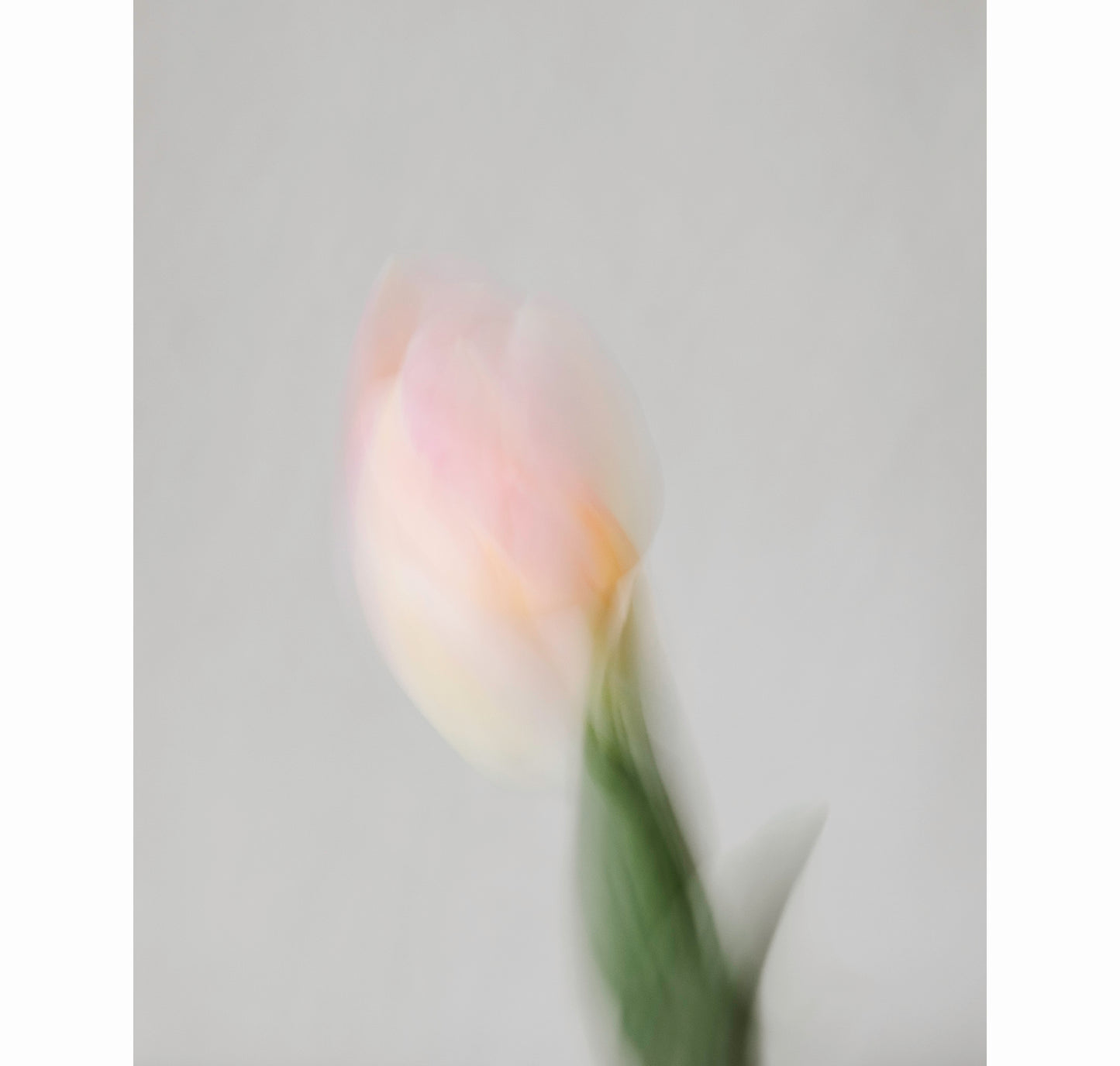 TENDER | Limited Edition (of 25)