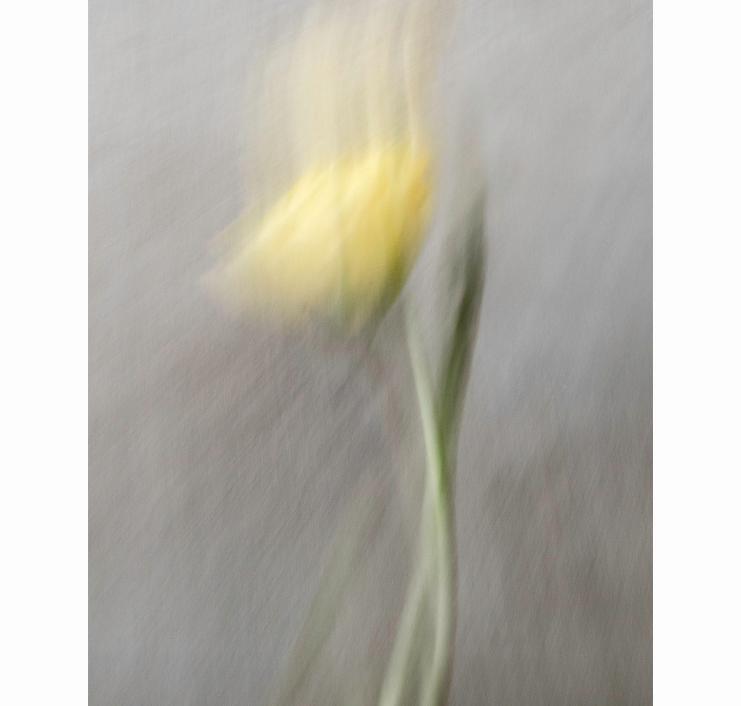 TOGETHER, TOWARDS | Limited Edition (of 25)