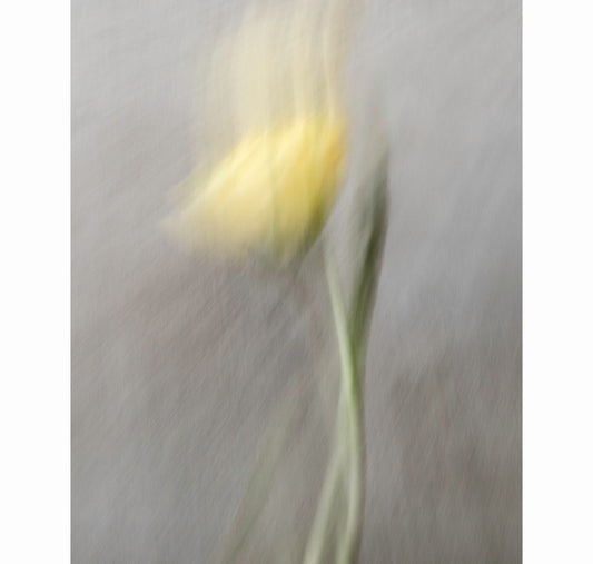 TOGETHER, TOWARDS | Limited Edition (of 25)