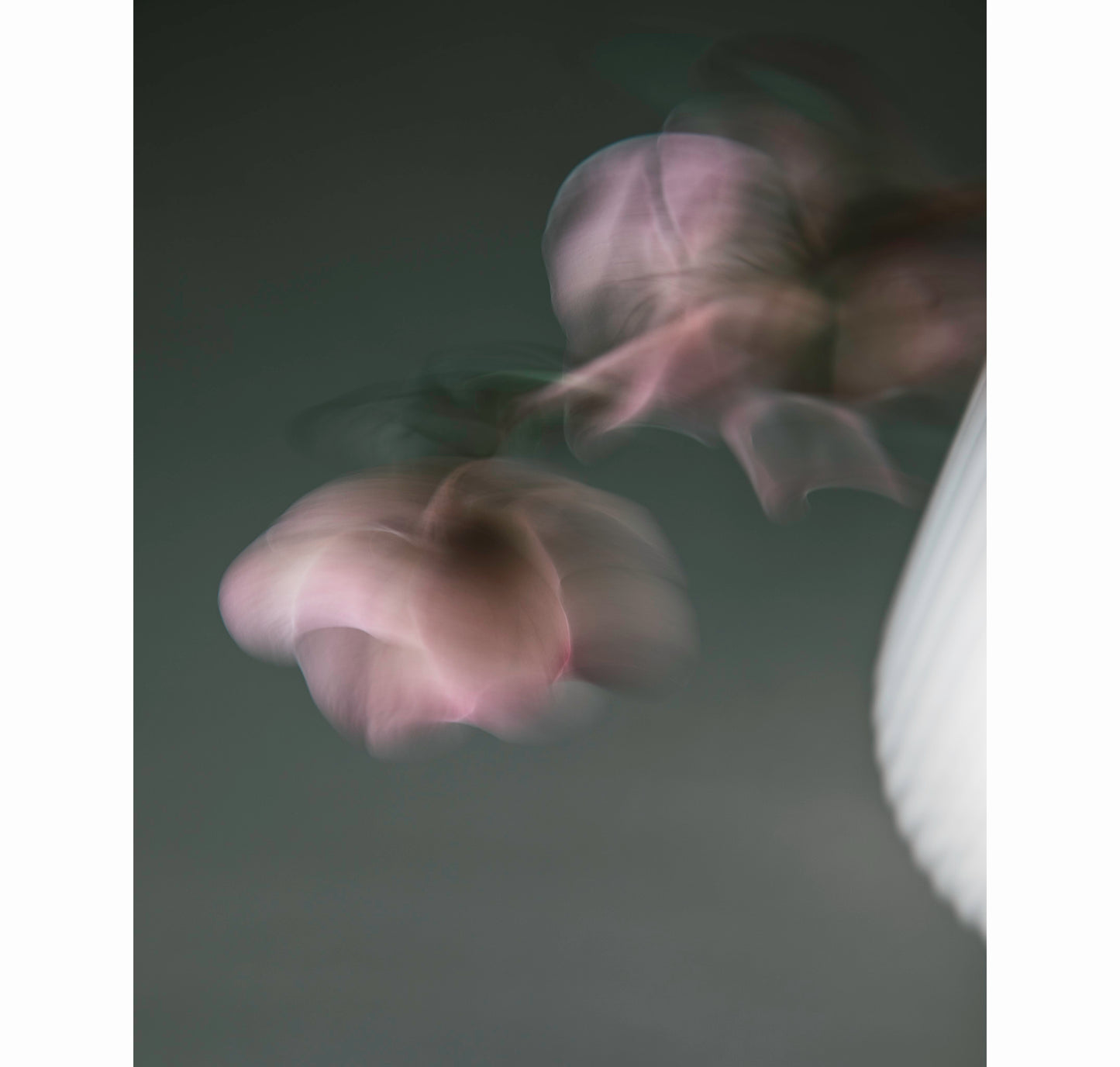 TURNING INWARD | Limited Edition (of 25)