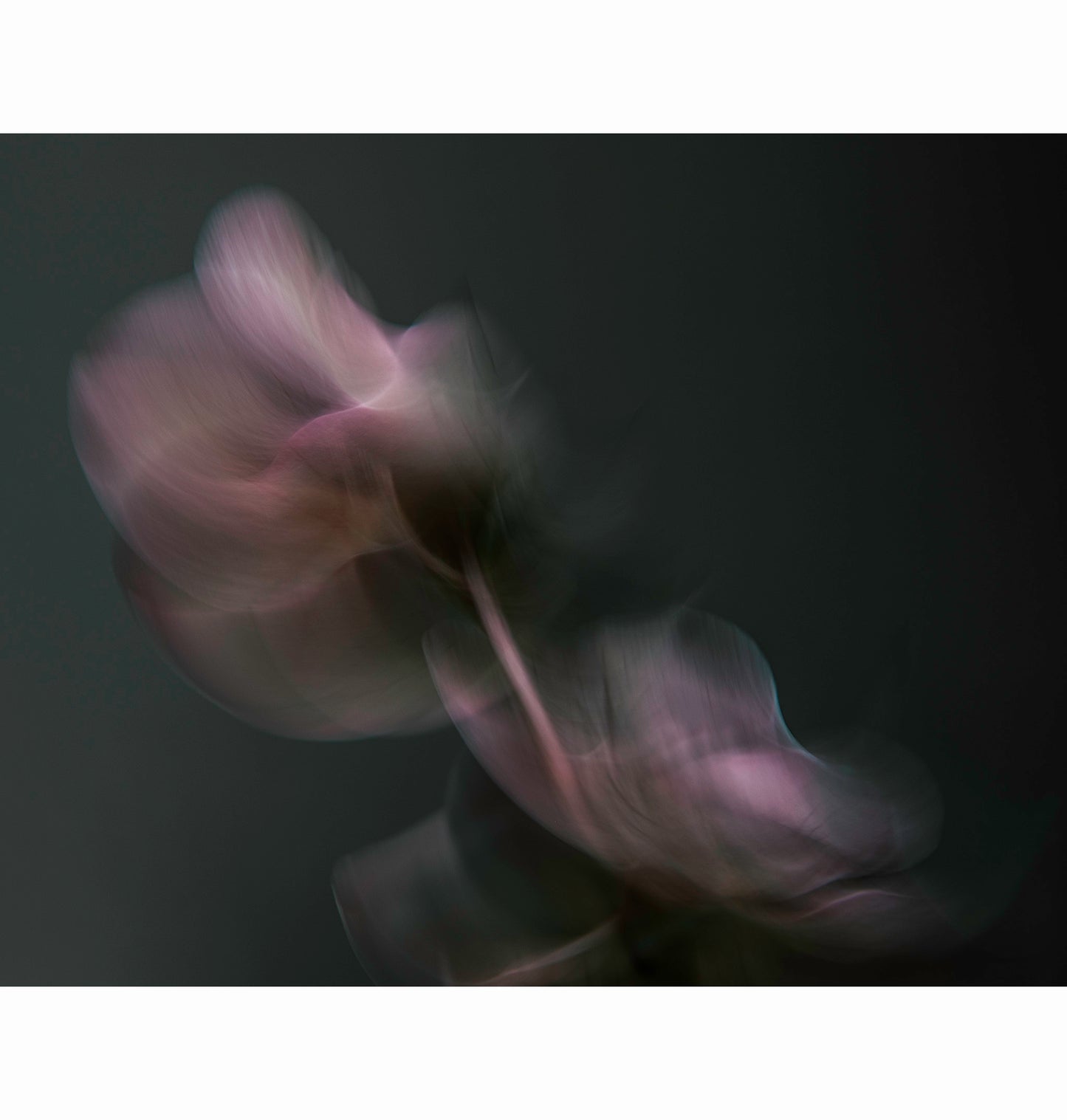 UNFOLDING | Limited Edition (of 25)