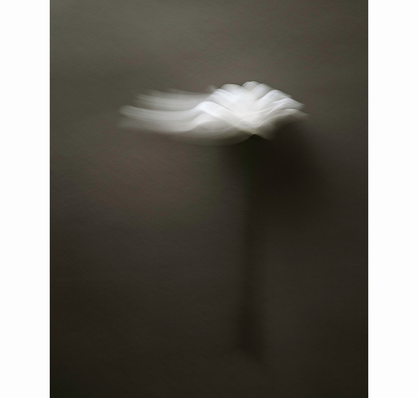 UNWAVERING | Limited Edition (of 25)