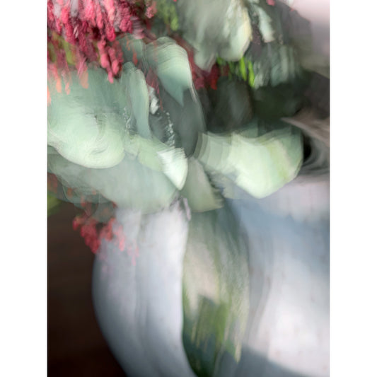Viburnum III