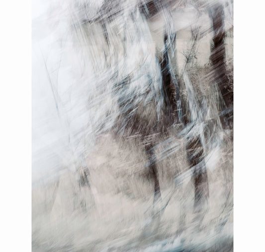 WINTER DRIFT | Limited Edition (of 25)