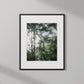 WOODLANDS I