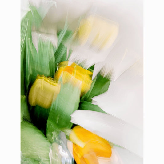 Yellow Tulips I