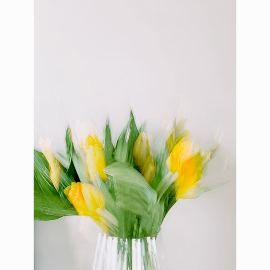 Yellow Tulips III