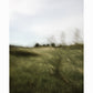 REMEMBERING THE WAY | Limited Edition (of 25)