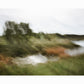 THE SHAPE OF PASSING | Limited Edition (of 25)