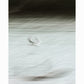 TRACE OF FLIGHT | Limited Edition (of 25)