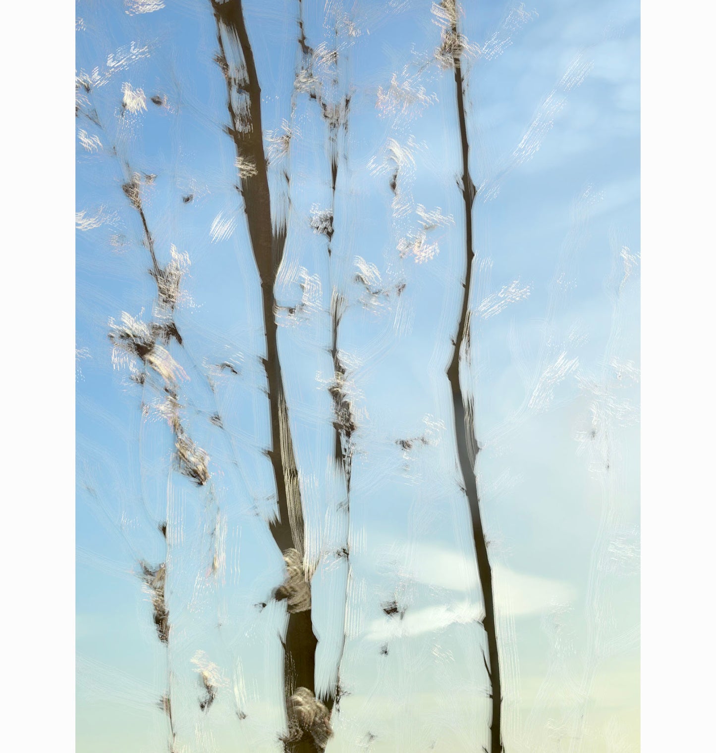 03.17.24