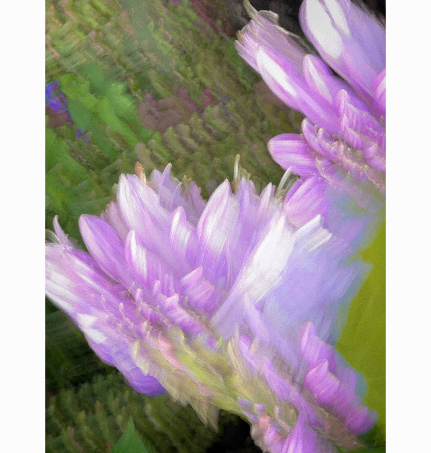 08.18.24
