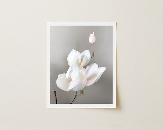 MAGNOLIA - 10x8 Print