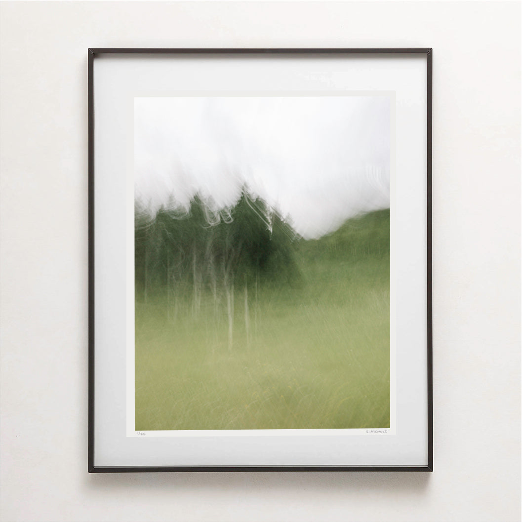 MEADOW ASPENS I (edition 1/25) - 26x20 Framed Print