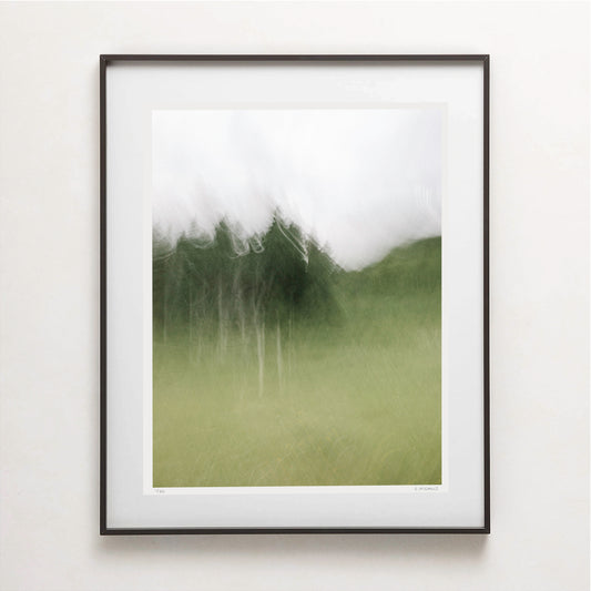 MEADOW ASPENS I (edition 1/25) - 26x20 Framed Print