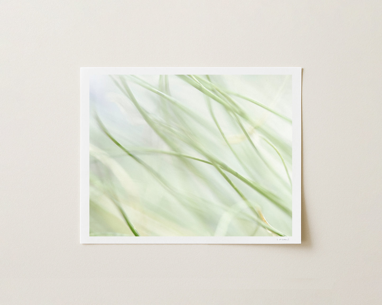MORNING WHISPER I - 8x10 Print