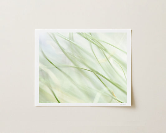 MORNING WHISPER I - 8x10 Print