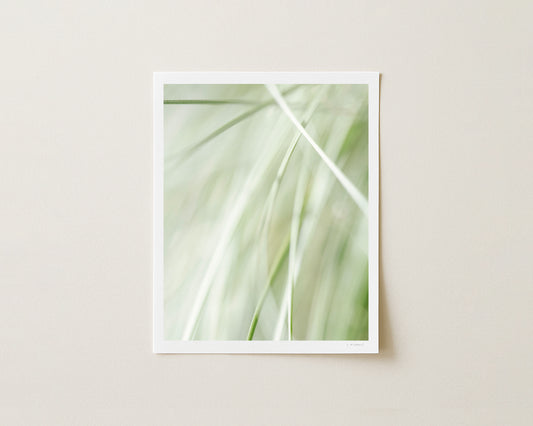 MORNING WHISPER II - 10x8 Print