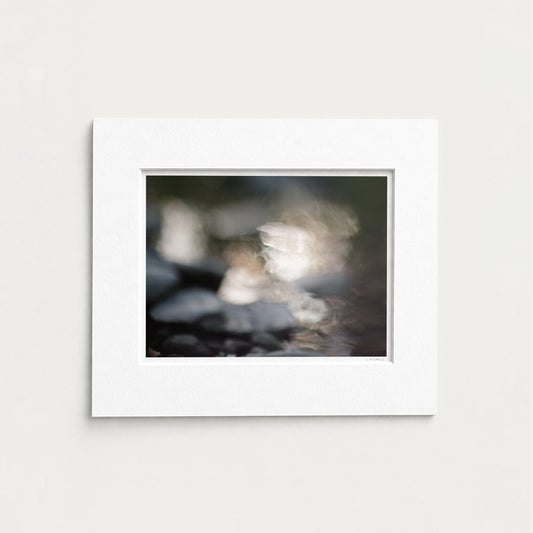 PLUM LIGHT - 12x16 PRINT
