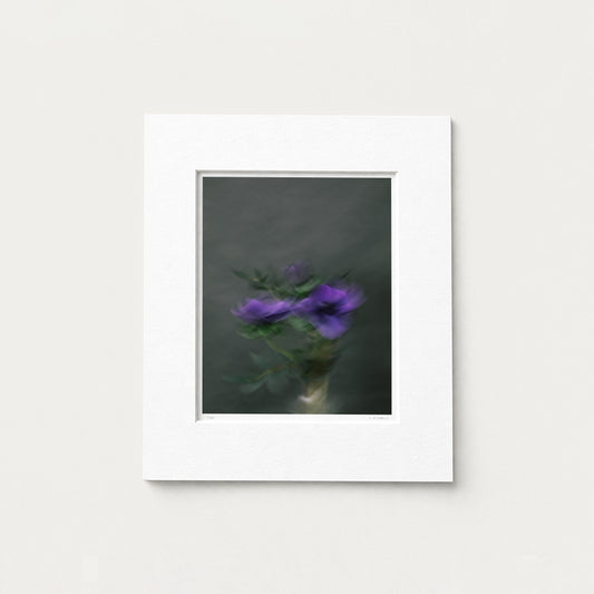 POISED (edition 1/25) - 10x8 Matted Print