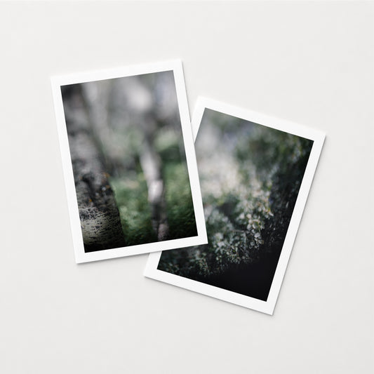 POPLAR SKEW II & HIDEAWAY -set of 7x5 Prints