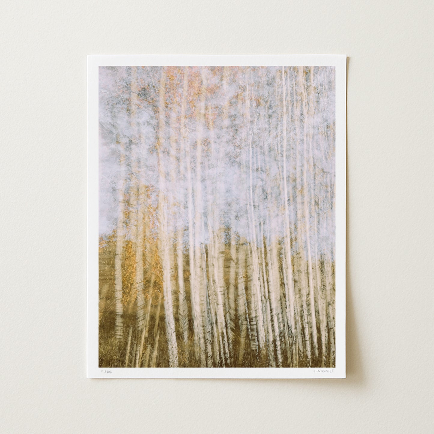 POPULUS STANDING I (edition 2/25) - 20x16 Print