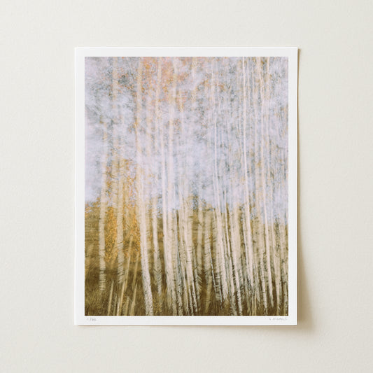 POPULUS STANDING I (edition 2/25) - 20x16 Print