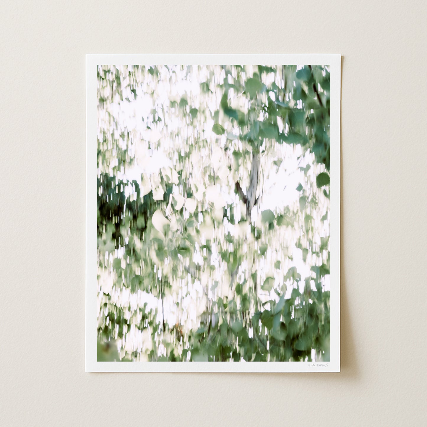 QUAKING ASPENS II - 20x16 Print