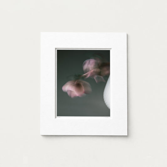 TURNING INWARD (edition 1/25) - 10x8 Matted Print