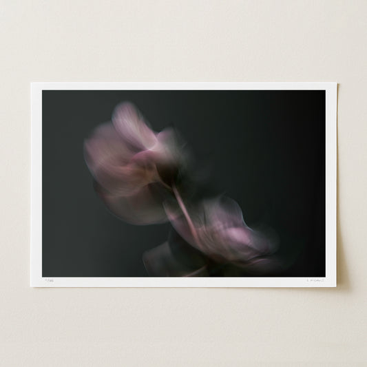 UNFOLDING (edition 2/25) - 12x18 Print