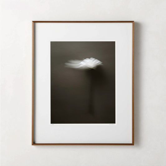 UNWAVERING (edition 1/25) - 20x16 Framed Print