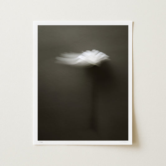UNWAVERING (edition 2/25) - 20x16 Print
