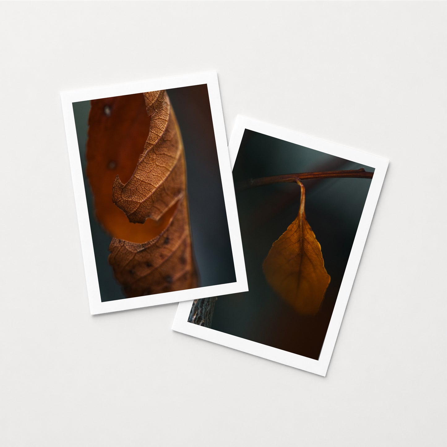 WHAT REMAINS I & II - set of 7x5 Prints