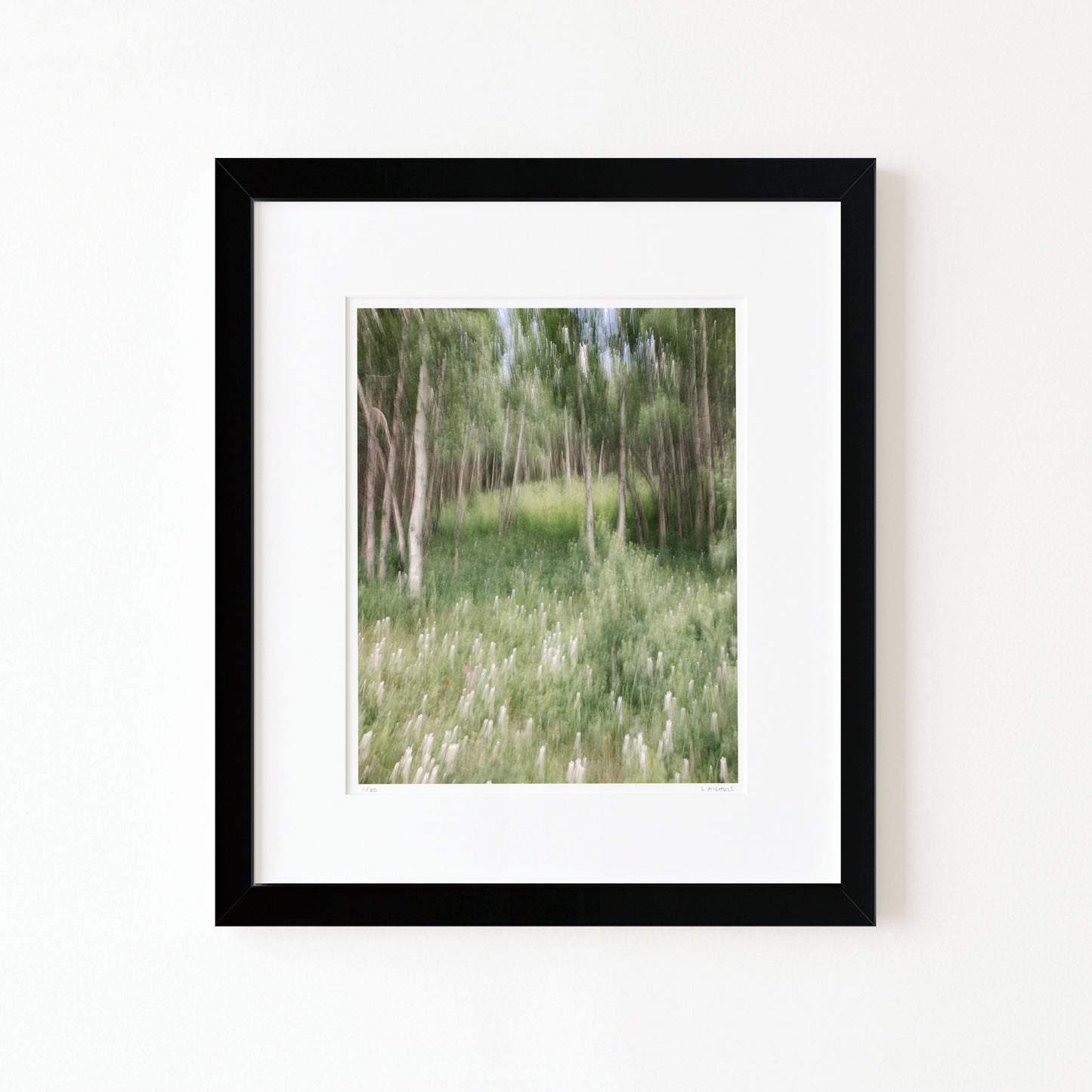 WHISPERS OF WILDFLOWERS (edition 6/25) - 10x8 Framed Print