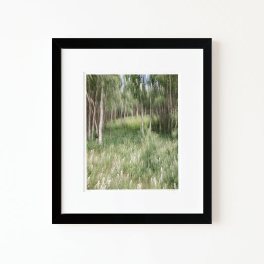 WHISPERS OF WILDFLOWERS (edition 6/25) - 10x8 Framed Print