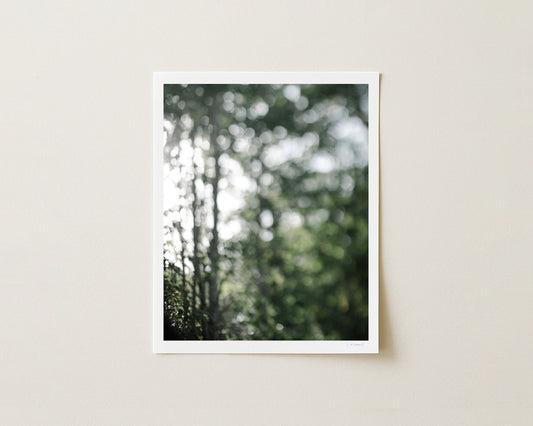 WOODLANDS I - 10x8 Print