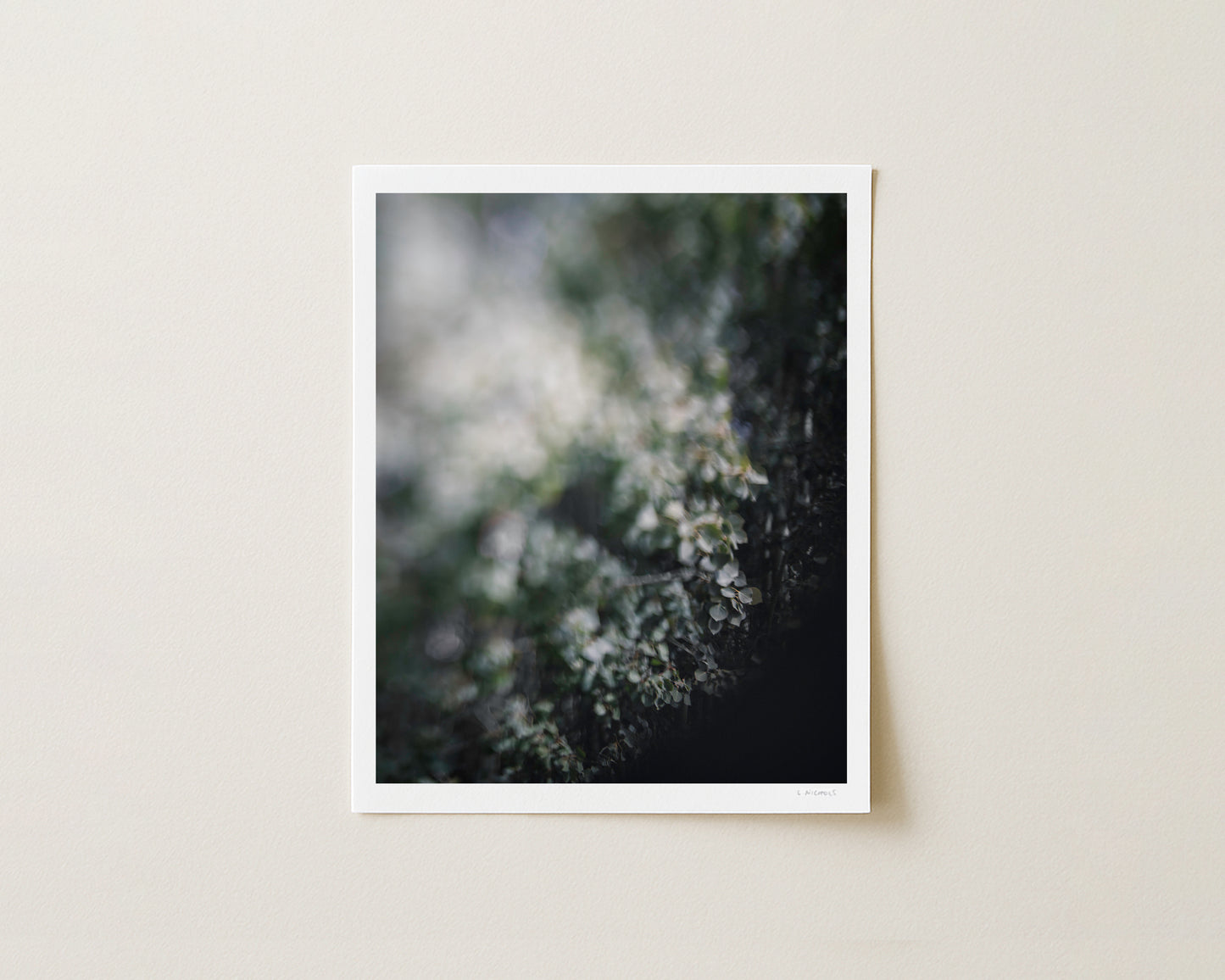 HIDEAWAY - 10x8 Print