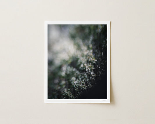 HIDEAWAY - 10x8 Print