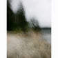 SHORELINE II